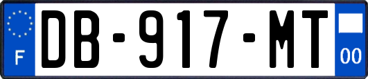DB-917-MT