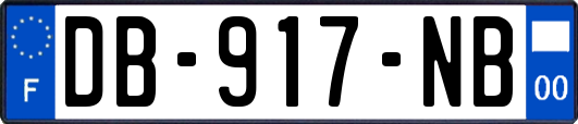 DB-917-NB