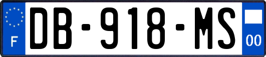 DB-918-MS