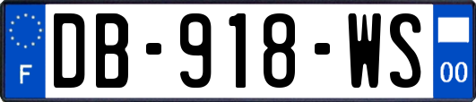 DB-918-WS