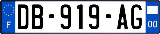 DB-919-AG