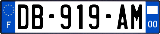 DB-919-AM