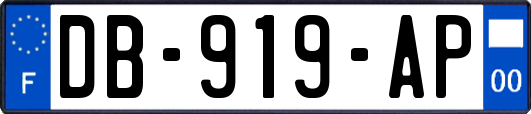 DB-919-AP