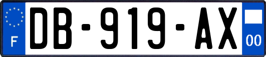 DB-919-AX