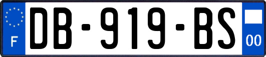 DB-919-BS