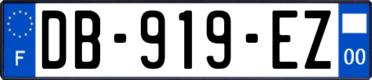 DB-919-EZ