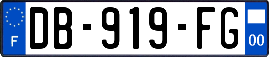 DB-919-FG