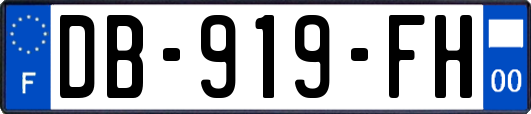 DB-919-FH