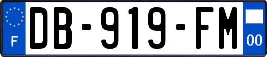 DB-919-FM