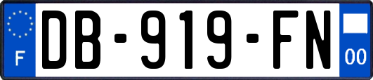 DB-919-FN