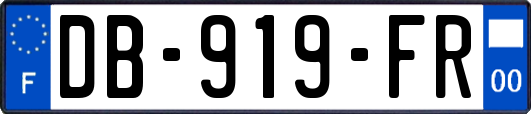 DB-919-FR