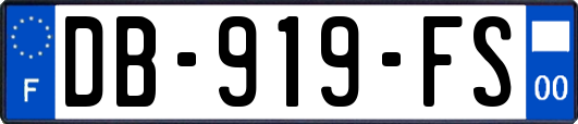 DB-919-FS