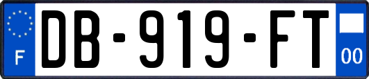 DB-919-FT