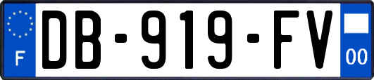 DB-919-FV