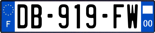 DB-919-FW