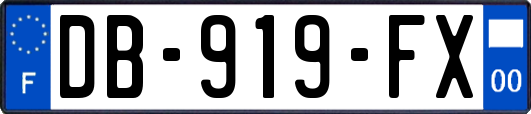DB-919-FX
