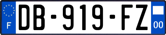 DB-919-FZ