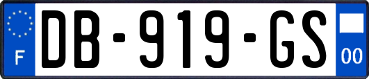 DB-919-GS