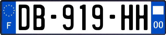 DB-919-HH