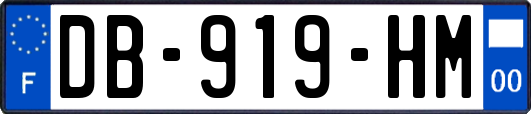 DB-919-HM