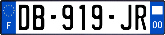 DB-919-JR