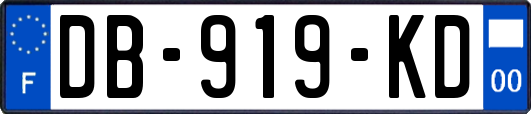 DB-919-KD