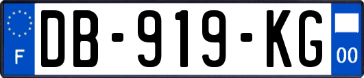 DB-919-KG