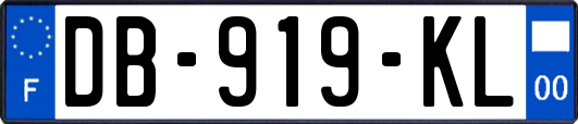 DB-919-KL