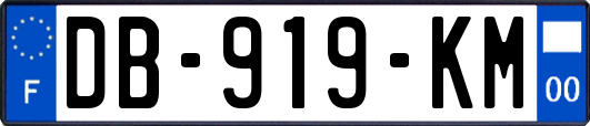 DB-919-KM