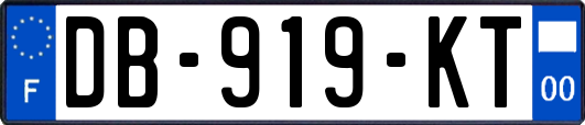 DB-919-KT