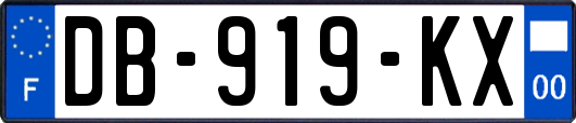 DB-919-KX