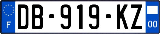 DB-919-KZ