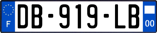 DB-919-LB