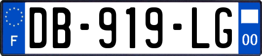 DB-919-LG