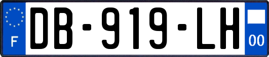 DB-919-LH