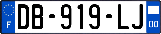 DB-919-LJ