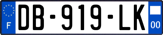 DB-919-LK