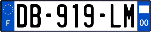 DB-919-LM