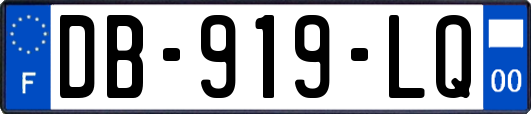 DB-919-LQ