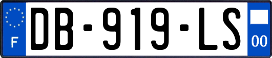 DB-919-LS