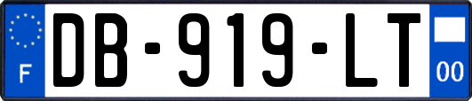 DB-919-LT