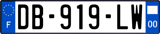 DB-919-LW