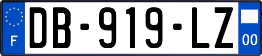 DB-919-LZ