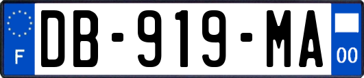 DB-919-MA