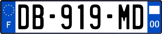 DB-919-MD