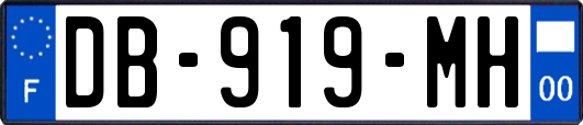 DB-919-MH