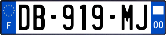DB-919-MJ