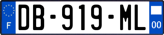 DB-919-ML