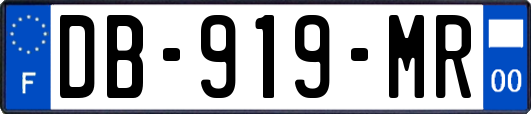 DB-919-MR