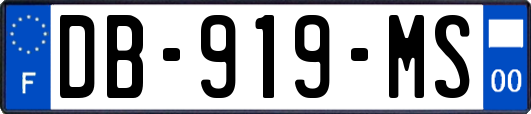 DB-919-MS